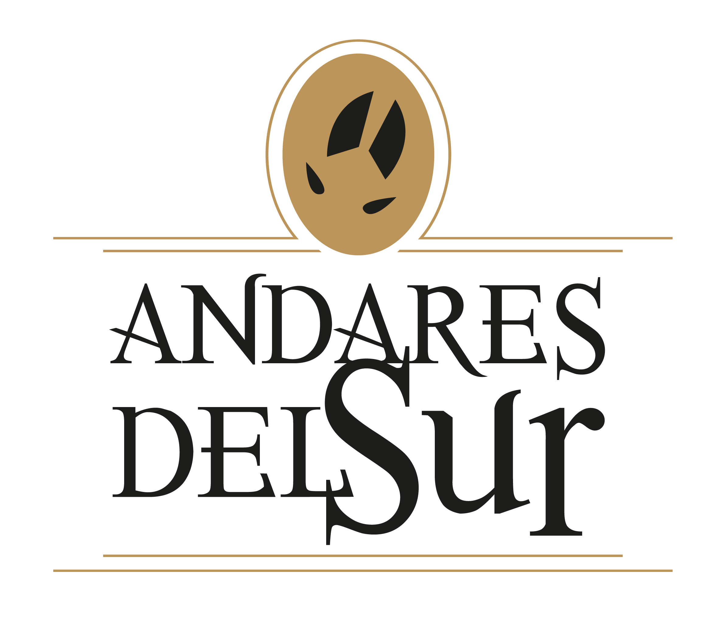 Andares del Sur